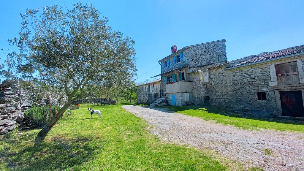House Mlun photo 1