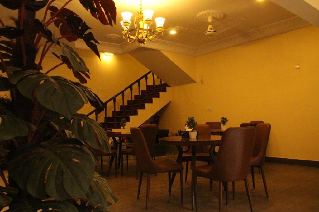 A One Guest House photo 3