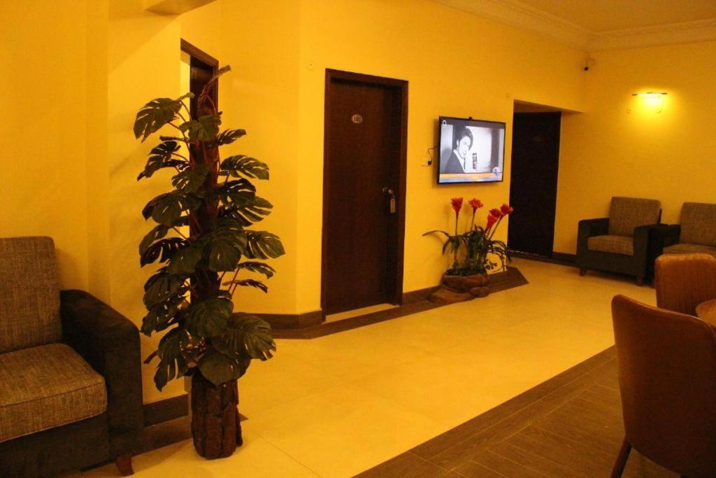 A One Guest House photo 2