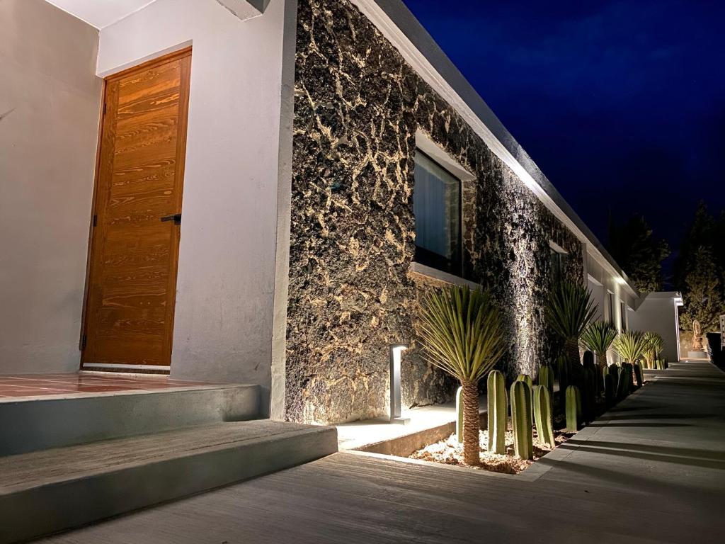 Hotel El Pedregal photo 3