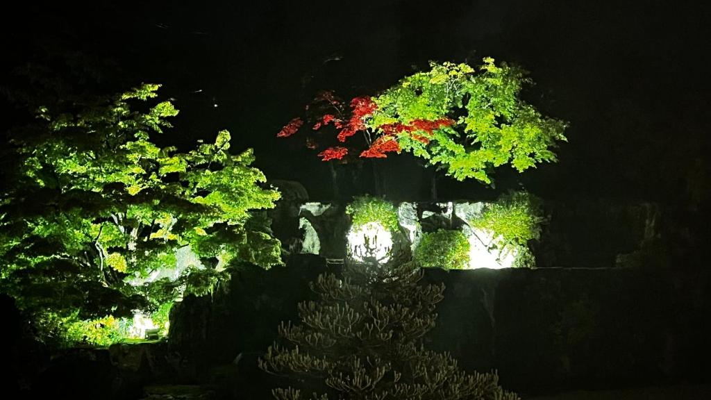 NARA japanese garden villa photo 4