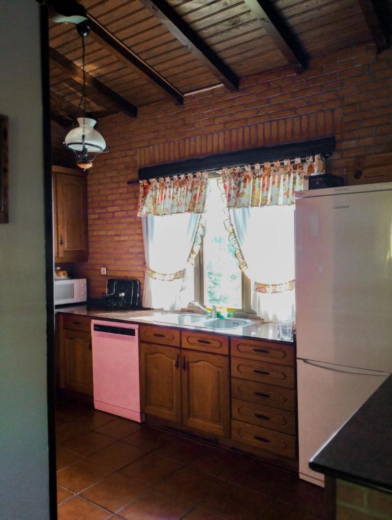 Basoeta photo 1