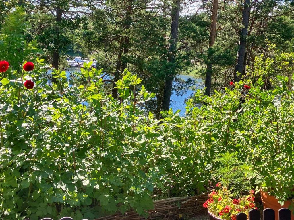 Holiday home DJURHAMN VII photo 4
