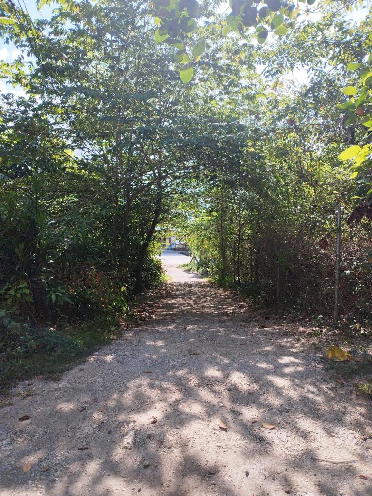 GREENSPACE photo 1