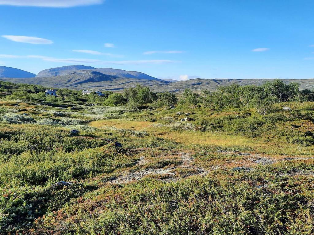Holiday home Svenstavik photo 4