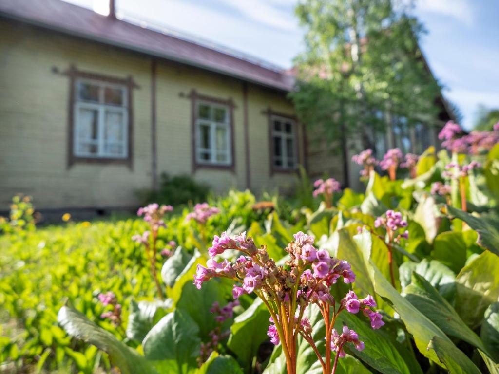 Koskivaara - vanha koulu - old school photo 2