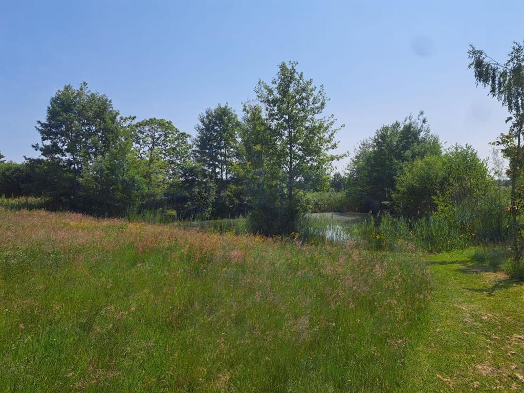 Landelijke gelegen Lodge photo 2