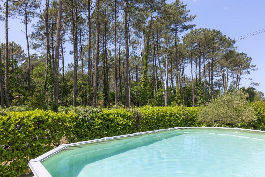 Maison Chantal photo 2