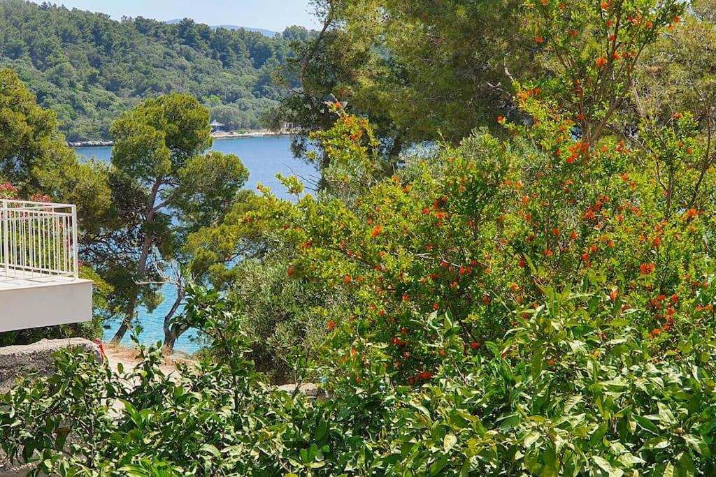 Dolce Villa, votre maison en front de mer photo 4
