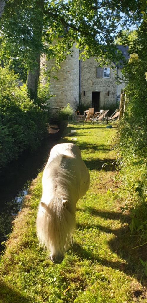 Domaine du Moulin de la Bretonnière Charmante caravane photo 4