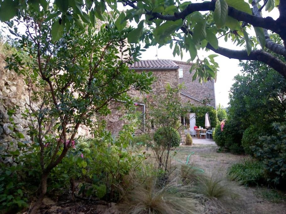 Grande maison cévenole à la décoration soignée photo 2