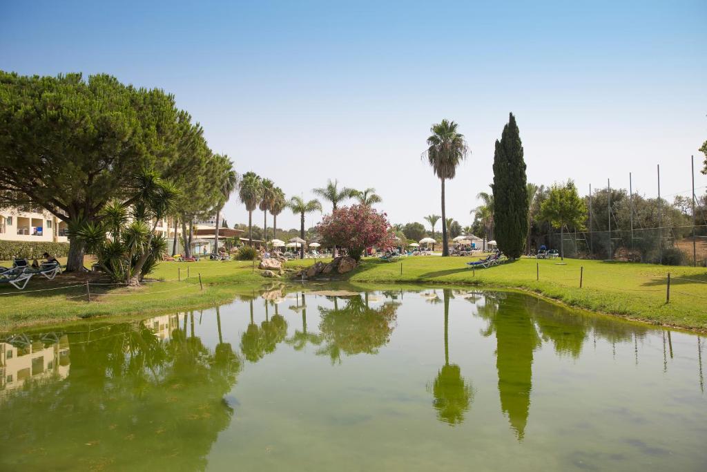 The Navigator - Palm Oasis Alvor - All Inclusive photo 2