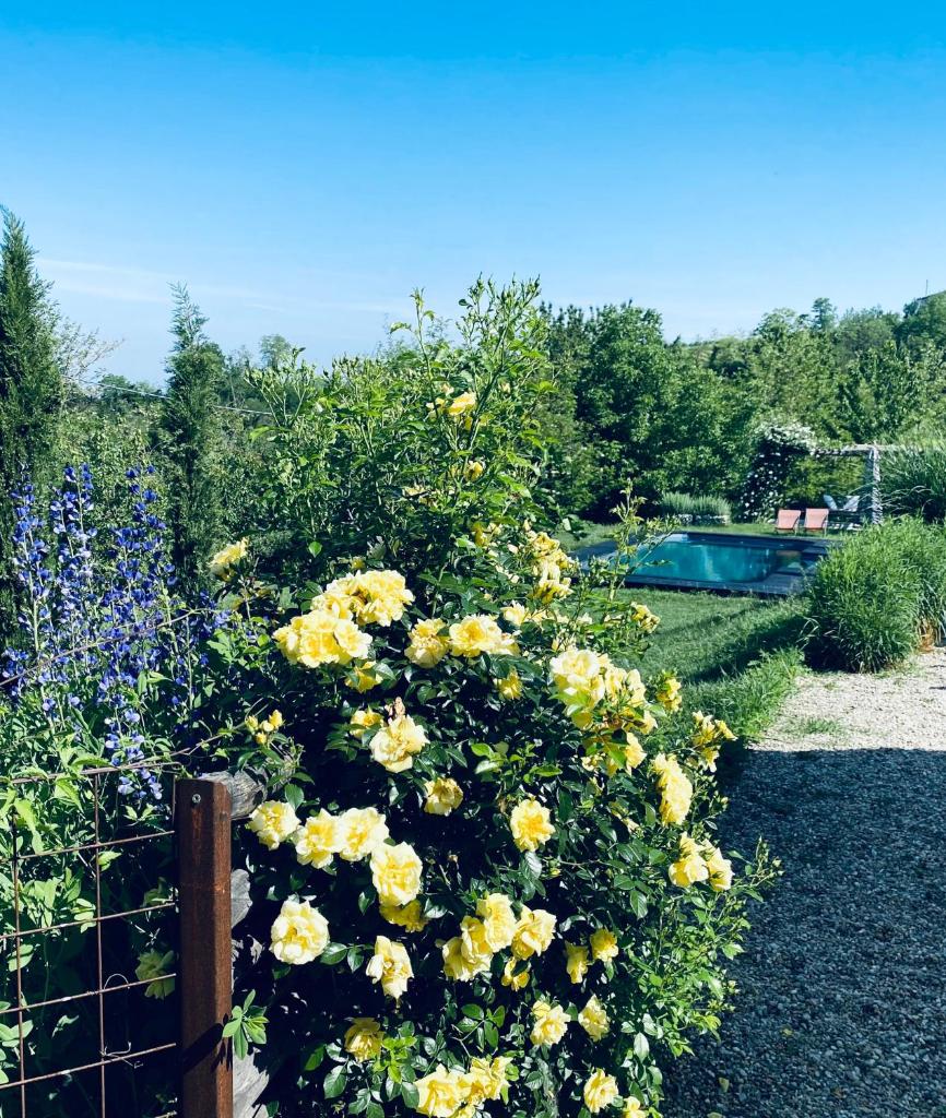 ROSTAGNI1834: VILLA WITH 2 APTS AND POOL IN THE BAROLO REGION photo 1