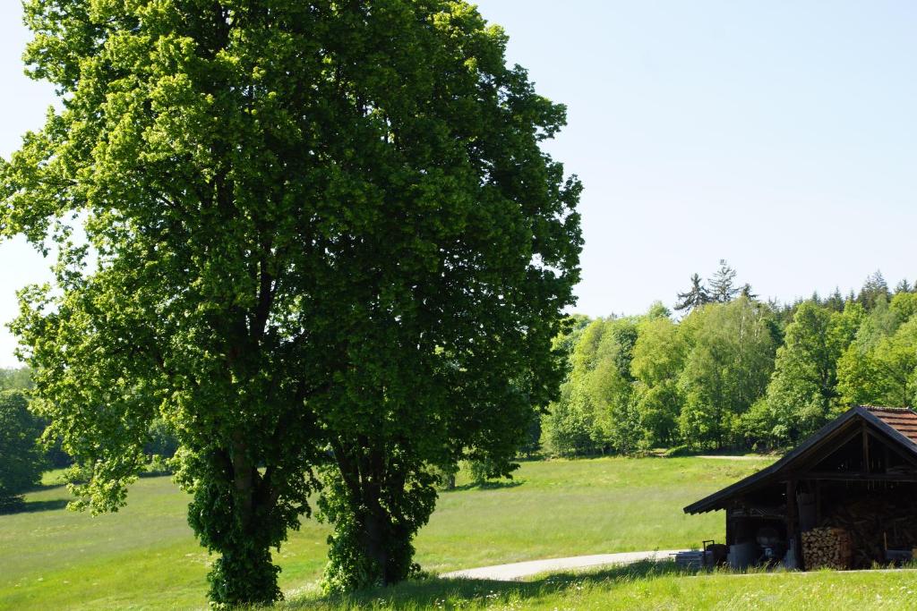 Ferienwohnungen Paukner photo 4