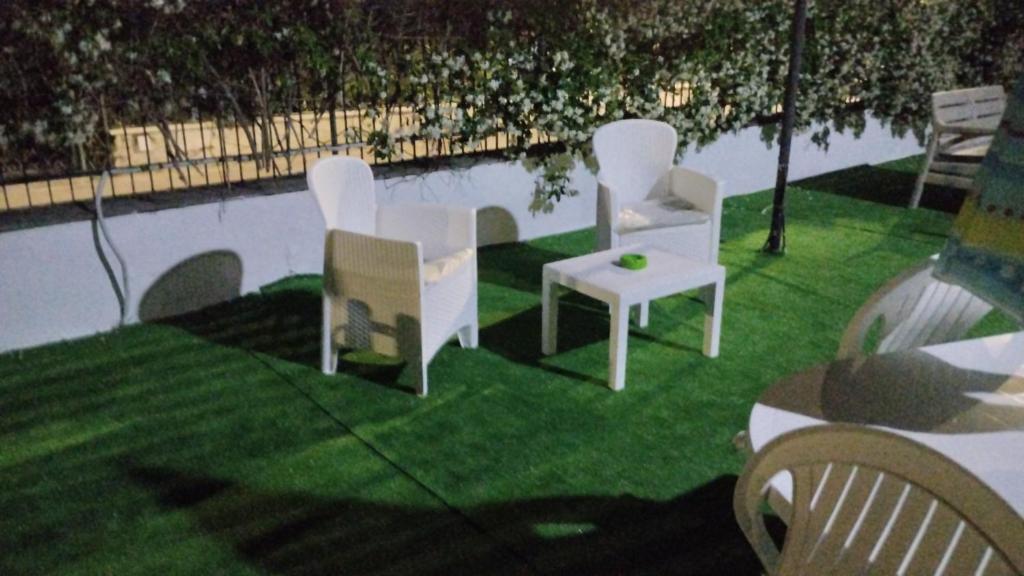 Oasi hause photo 4