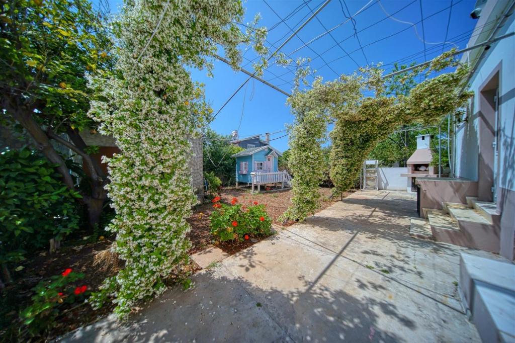 Ayorgiev 3 Bedroom Cosy House photo 4