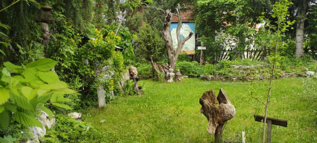 Velemun brvnara photo 2