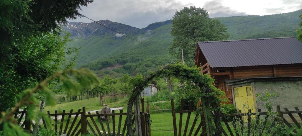 Velemun brvnara photo 4