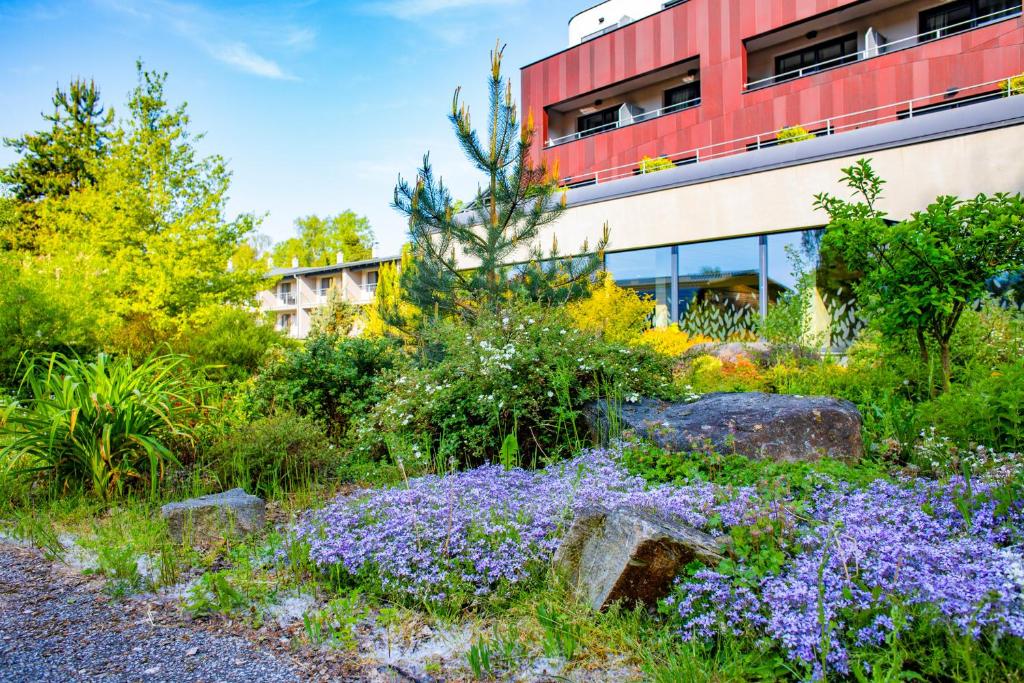 Amenity Hotel & Resort Lipno photo 2