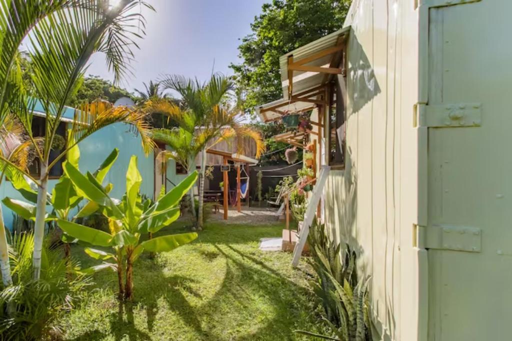 Container House Cahuita photo 4