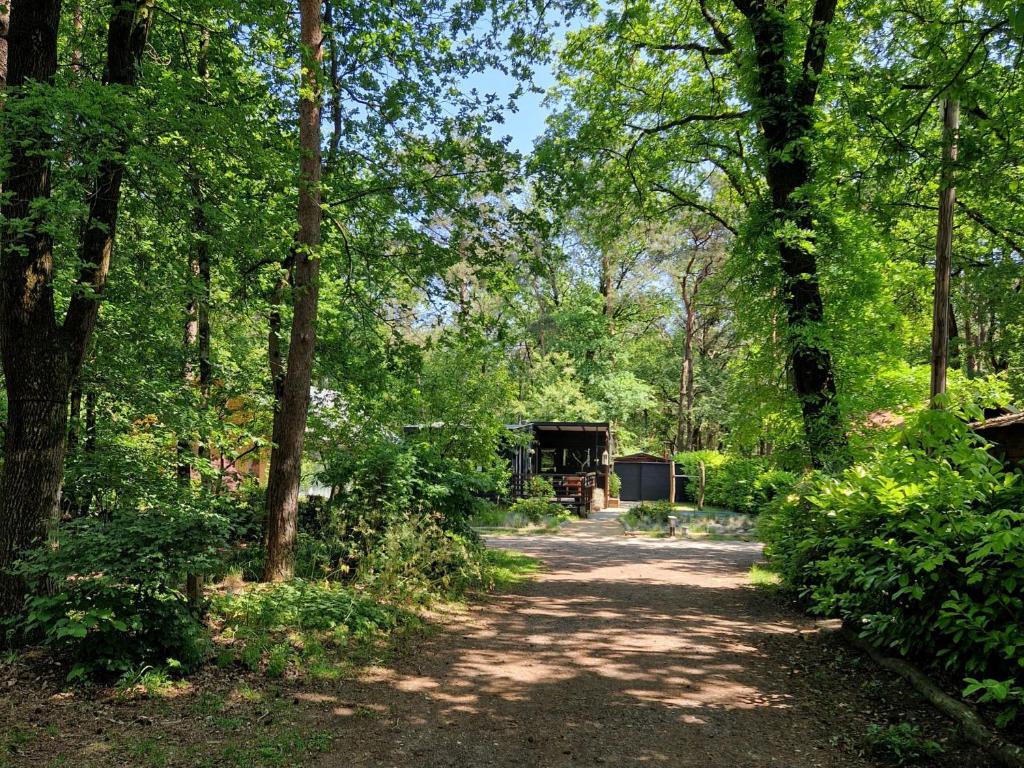 Heerlijk Huisje in het bos op Chaletpark Kempenbos photo 3