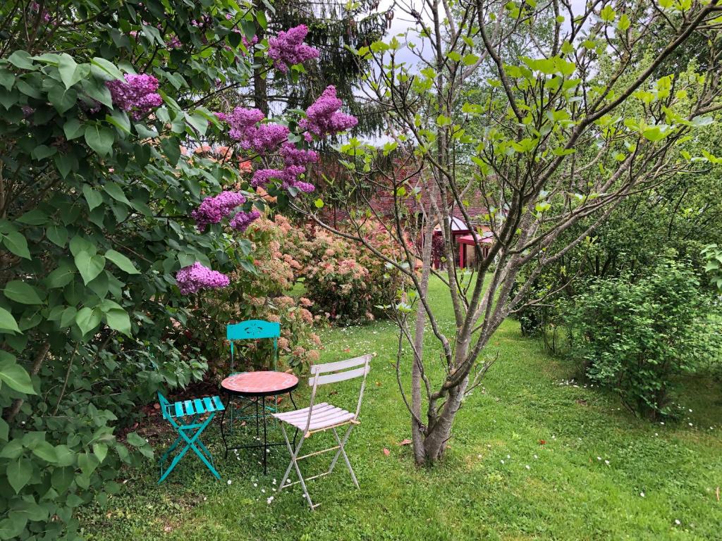 Maison de Paille photo 4