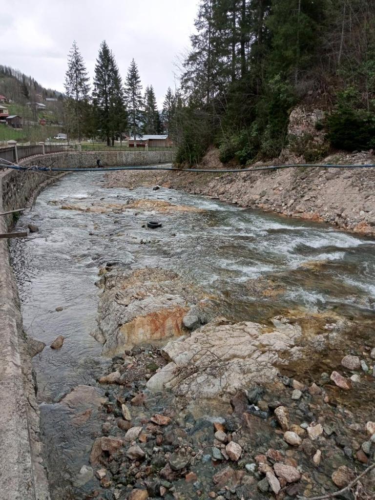 Doga ile basbasa Eko yayla photo 4