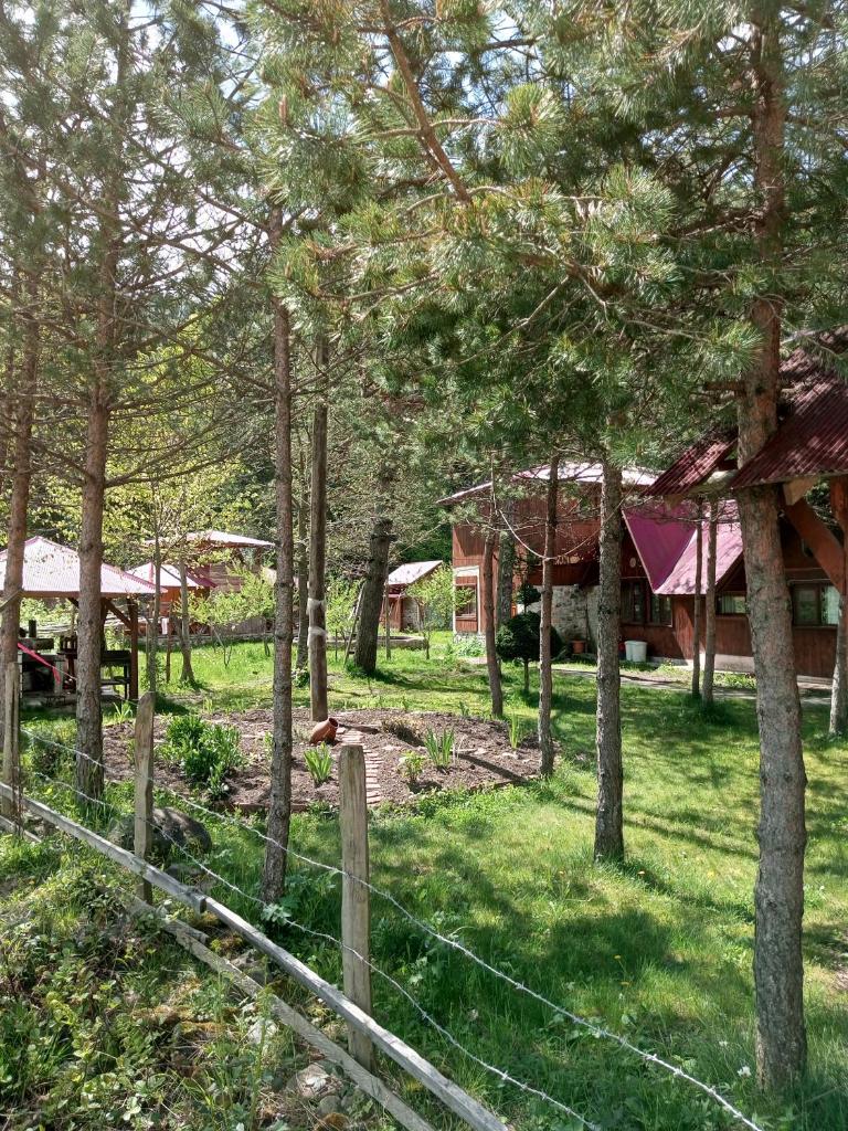 Doga ile basbasa Eko yayla photo 1