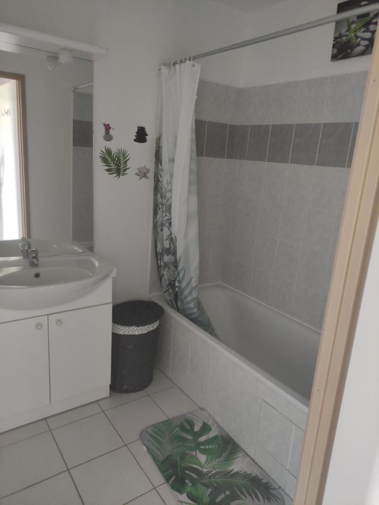Appartement T2 photo 3