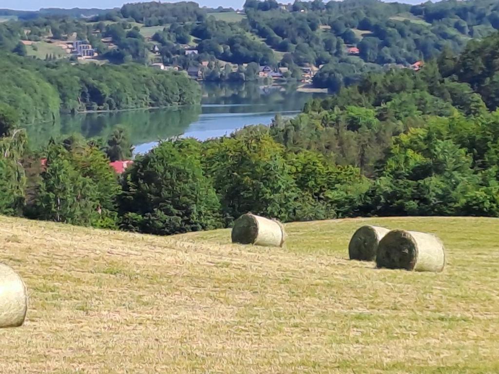 Jaśkowe Wzgórze domki na wynajem Szymbark, balia, Domek nr 2 i 3 photo 2