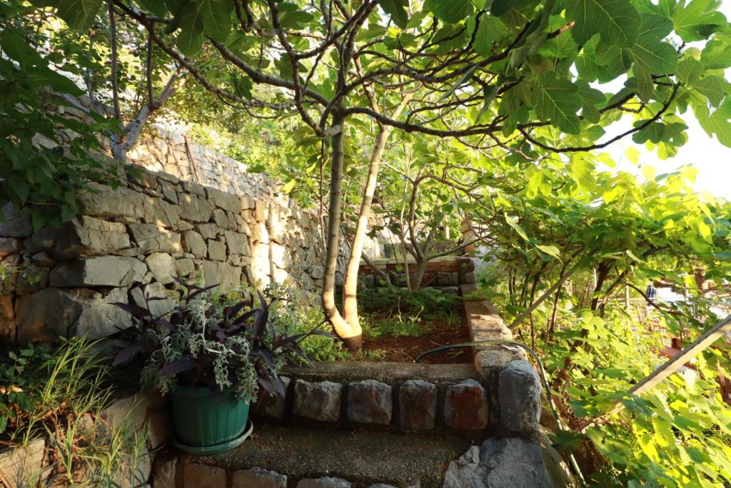 Accommodation Salvia photo 4