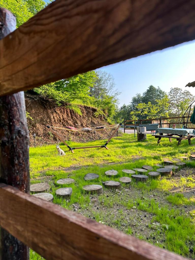 Bear House Uludağ Bungalov photo 3