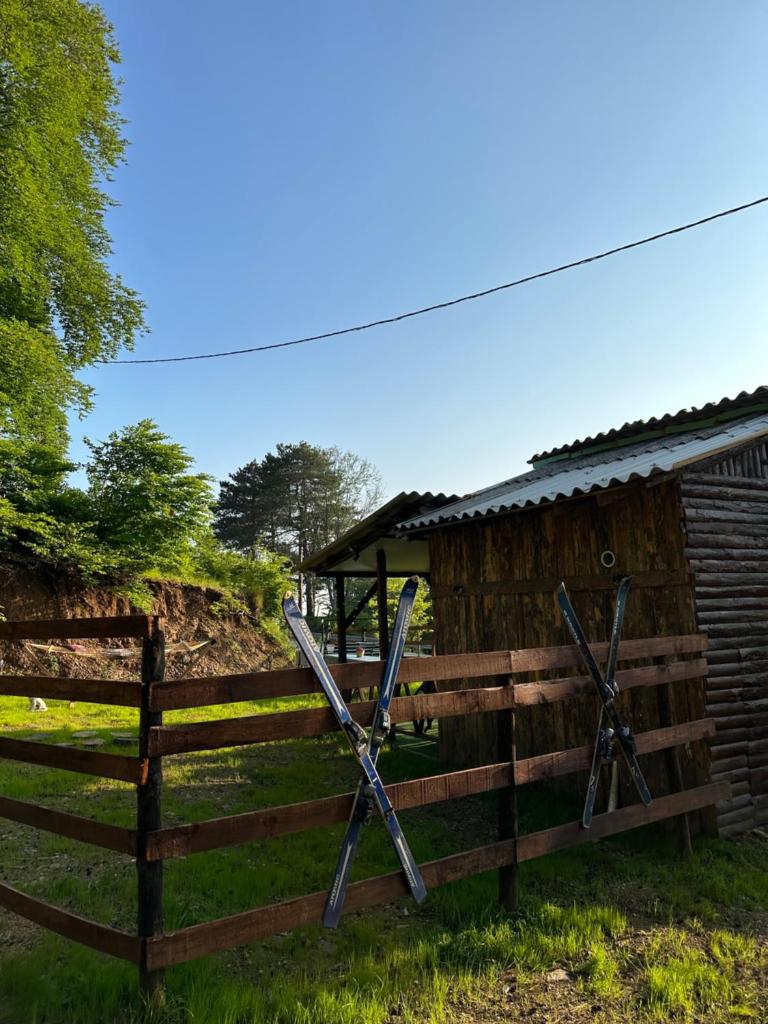 Bear House Uludağ Bungalov photo 2