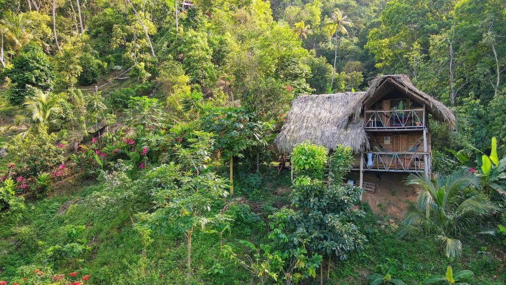 Finca La Selvita photo 1