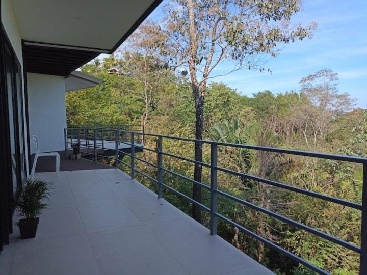 Laurel Jungle & Ocean photo 4