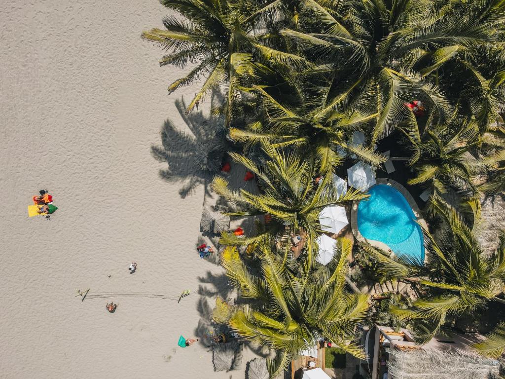 Los Corales photo 4