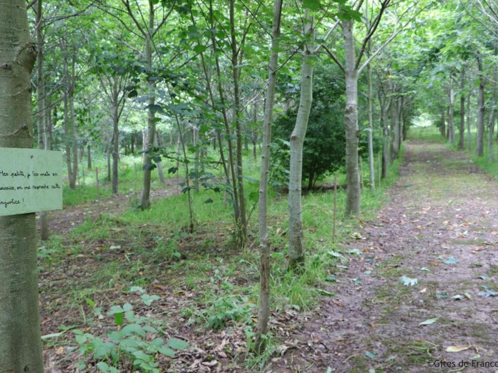 휴가용 주택(성인 6명)