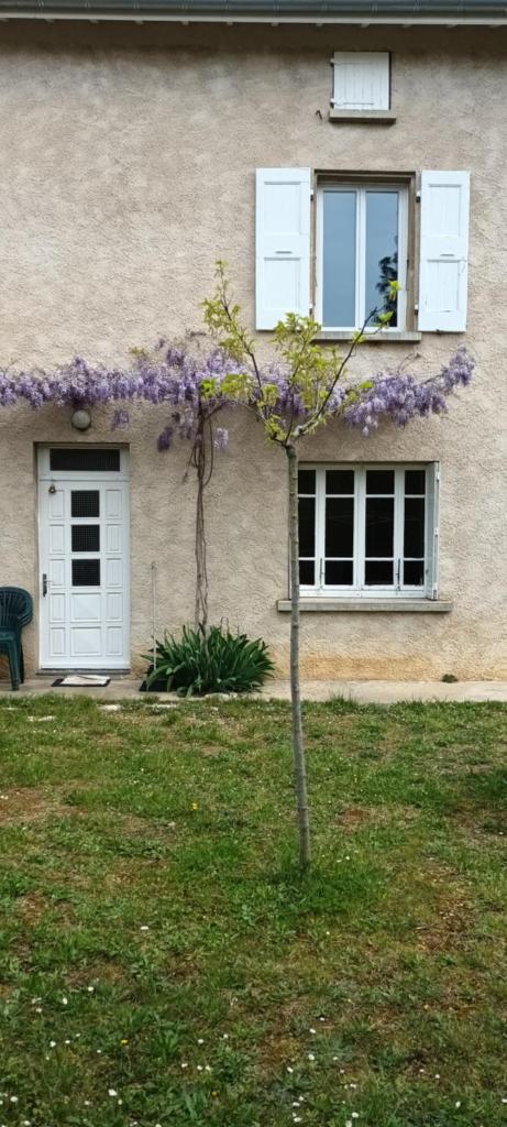 L'élie sous les noyers, Le gite photo 2