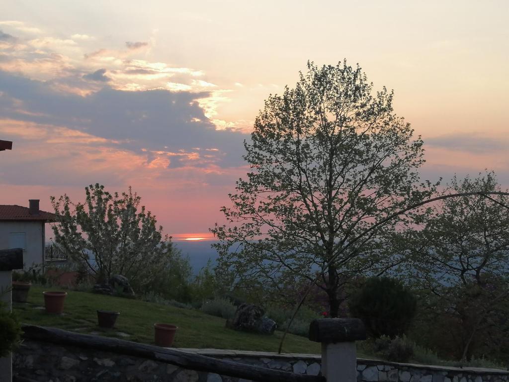 DIMITRA's VILLAS photo 3