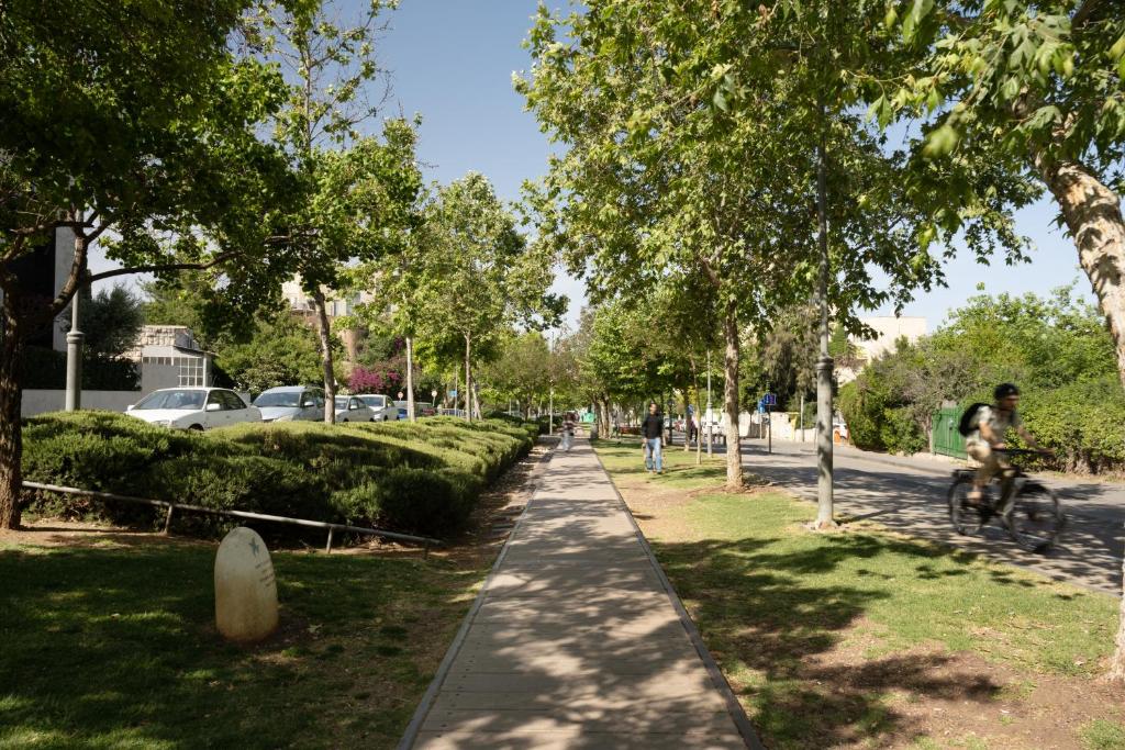THE Y HOUSE photo 4