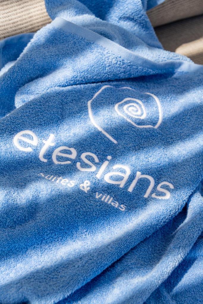 Etesians Suites & Villas - Tap to explore photos