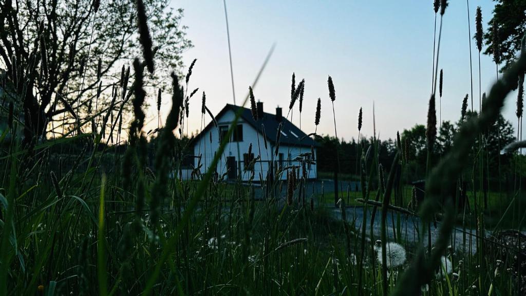 Apartamenty Karkonoska Dolina photo 1