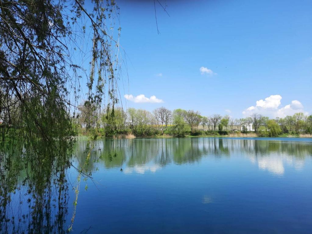 Apartman Aleksa photo 4