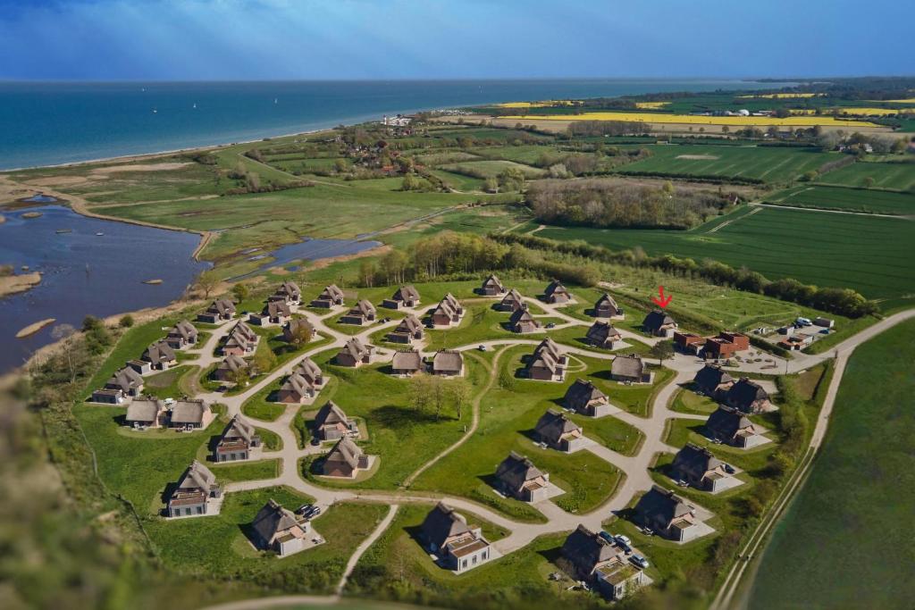 Reetdorf Geltinger Birk Künstlerkate Wasserspecht photo 3