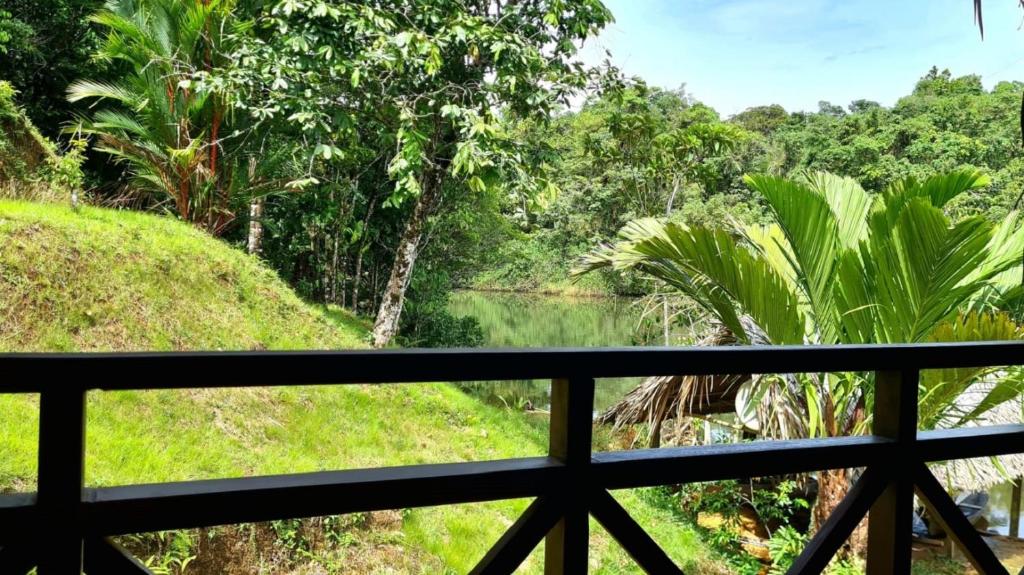 Rain Forest Lodge Playa Jaguar Panama photo 1
