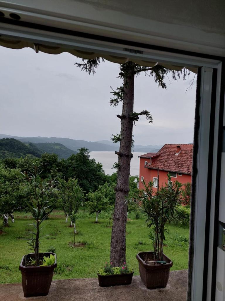 Apartmani Kuljanin photo 4