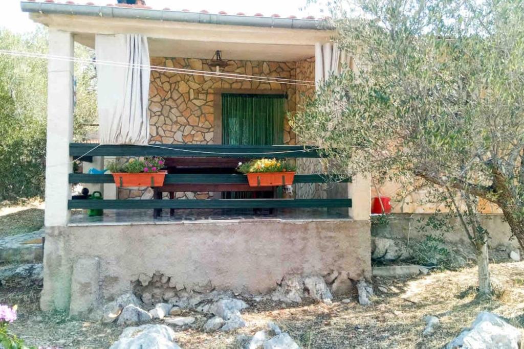House Petra photo 1