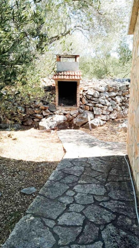 House Petra photo 2