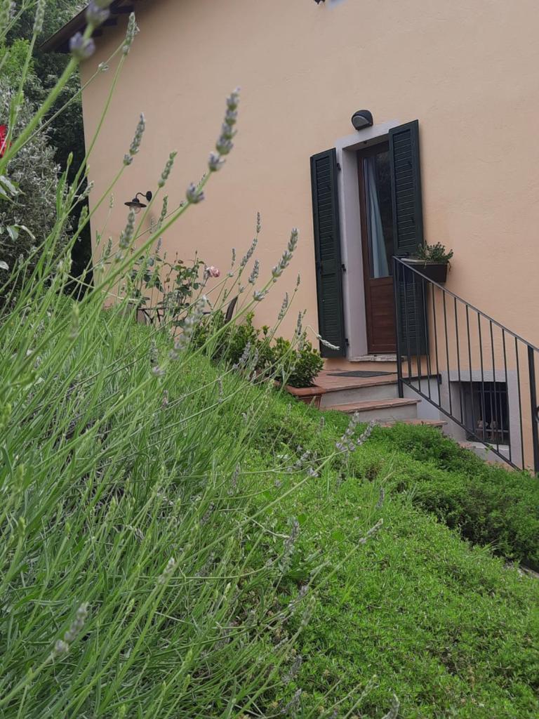 Agriturismo Il Truffarello TODI photo 3