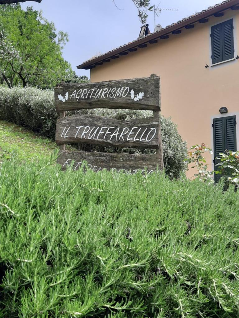 Agriturismo Il Truffarello TODI photo 1
